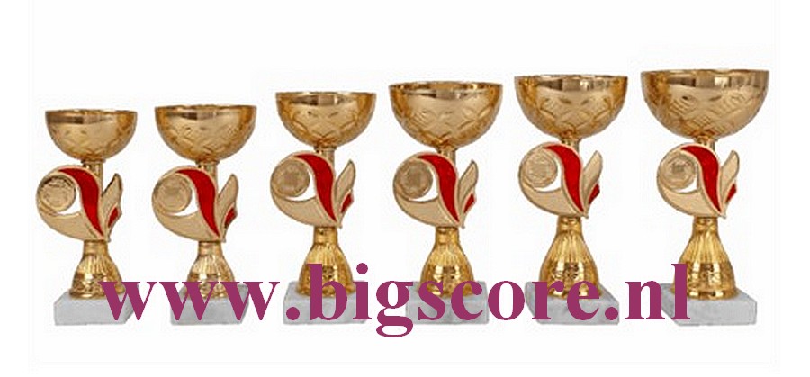 AK5391 Beker Goud-Rood